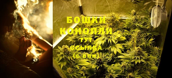 PSILOCYBIN Армянск