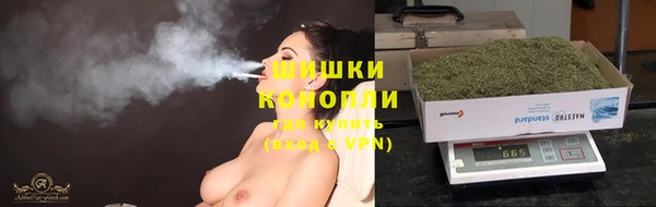 PSILOCYBIN Армянск